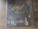 Big L – The Big Picture (1974 - 1999)