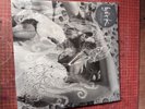 Vespertine by Björk (Record, 2012), Limited Edition Reissue Coloured, Sealed