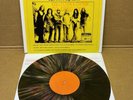 Lynyrd Skynyrd - Rare Live LP Multicolored Vinyl 1973-76 MINT  SPLASH VINYL