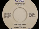 Modern Soul/Deep Soul 45 SAM ANDERSON & GLENICE JONES Dreaming CJE HEAR l