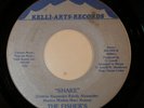 Modern Soul Boogie Funk 45 FISHER'S Shake KELLI-ARTS HEAR l