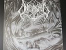 Unleashed Where No Life Dwells Vinyl Plus CD Century Media 2016 Death Metal