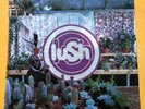 Lush - Lovelife - 1996 Ltd. Edition Clear Vinyl First Press VG+/EX