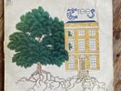 TREES - THE GARDEN OF JANE DELAWNEY   VG/VG VINYL LP / RARE UK / FIRST PRESSING
