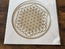 Bring Me the Horizon Sempiternal Limited Picture Disc Vinyl LP BMTH