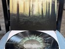 To Those Left Behind LP Album Blessthefall Black Mint Splatter RARE Beau Bokan