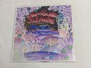 Animal Crossing New Horizons Reject Test Press Side C/D only vinyl Not Moonshake