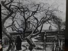 Rare Hand Numbered Judas Iscariot - Thy Dying Light 184 out of 350 .Sombre 012