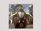 Swervedriver Mezcal Head LP.  1st UK Pressing, 1993, Creation