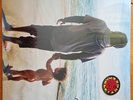 Ziggy Marley+ Rebellion Rises Vinyl 2018. New & Sealed.