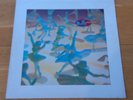 BELLY - STAR - TANYA DONNELLY - 4AD - 1993 - EXCELLENT