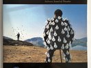 Pink Floyd Delicate Sound of Thunder • 1988 Vinyl LP Album • VG+ / VG+