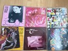Siouxsie and the Banshees Vynl records.