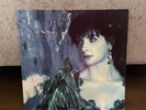 Enya Shepherd Moons Album Vinyl