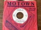 Soul Brenda Holloway – Play It Cool, Stay In School Tamla DEMO – Z1IL-206312