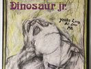 Dinosaur   You're Living All Over Me   Original 1987 SST Records LP Mascis Jr.