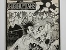 Subhumans The Day The Country Dies LP UK 82 Punk Rock