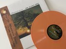 Mountain Goats THE SUNSET TREE Vinyl LP Record NEW