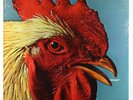 Ambergris - S/T LP - Paramount SEALED