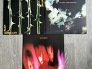 Type O Negative - October Rust, Col Vinyl & The Cure Pornography, Disintegration