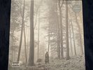 Taylor Swift - Folklore - “In The Trees” 2020 Made In France *SEALED*