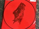 Alice in Chains, The Devil Put Dinosaurs Here, 2×LP Picture Disc Vinyl