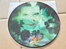 The Cure * DISINTEGRATION PICTURE DISC * Vinyl LP 12