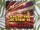 The Waterboys 'Where the Action Is' BAND-SIGNED  Gatefold LP (2019/COOKLP731).