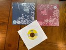 2007 The Shins Phantom Limb, Australia, Nothing At All Promo 7