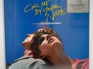 Call Me By Your Name Original Soundtrack 2LP Limited Edition Vinyl Peach Record
