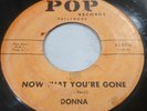 Donna Ludwig  Now That You're Gone on Pop 1950s 45 Richie Valens Girlfriend