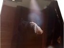 Ariana Grande eternal sunshine tour exclusive vinyl lenticular cover opaque blue