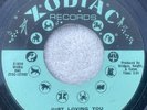 RUBY ANDREWS Zodiac Z 1010  Just Loving You The Love I Need  US SOUL 45 G2U
