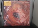 CATHERINE WHEEL - Ferment (25th Anniversary) - 12
