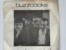 BUZZCOCKS 