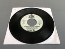 SHIRLEY & THE SHIRELLES “NEVER GIVE YOU UP” RARE 1969 PROMO 7