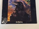 The Stranglers- The Raven 1979 Original 3D Cover UK Import