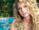 Taylor Swift, Taylor Swift[2 LP], Excellent, lp_record