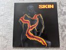Skin - Skin LP vinyl UK First Pressing PCSD 151 + inner (Jagged Edge)
