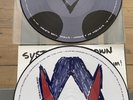 System of A Down Steal This Album  12 Vinyl Album PIC DISC LP