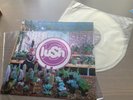 LUSH LOVELIFE CLEAR VINYL LP  MINT UNPLAYED