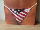 THE BLACK CROWES - AMORICA - INSERT - 2015 ISSUE - EX