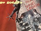 Bo Diddley Hey  Good Lookin' 1965 VG+ Vinyl LP Record Checker 2992