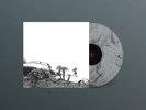 Timber Timbre Hot Dreams (Vinyl) (UK IMPORT)