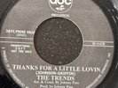 Northern Soul 45 Reissue-The Trends-Thanks For A Little Lovin-ABC