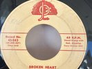 Moonlighters (2) – Broken Heart / Glow Of Love 45-483 7” Rockabilly