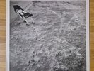 Nicolas Jaar – Space Is Only Noise (LP, 2011, Circus Company CCS055, VG/VG+)