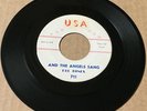 Del Tones 1961 WHITE DOO WOP 45 Please Talk To Me / The Angels Sang USA M- HEAR