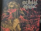 On Solid Ground - Vinyl Lp Secret Swarm Records deathcore