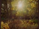 Amen Alex - Sun Of Amen